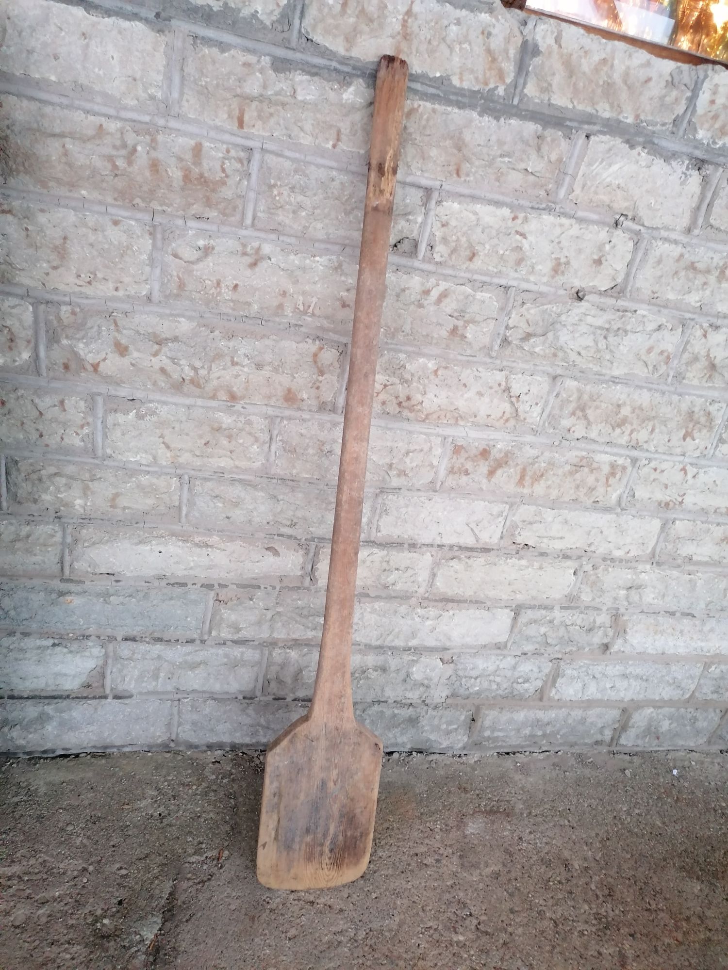 EW aegne leivalabidas