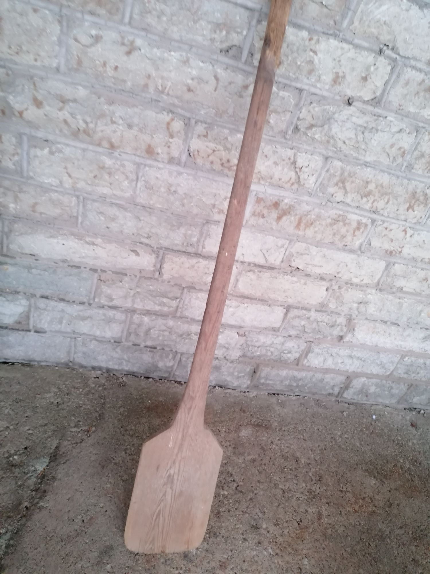 EW aegne leivalabidas - Image 4