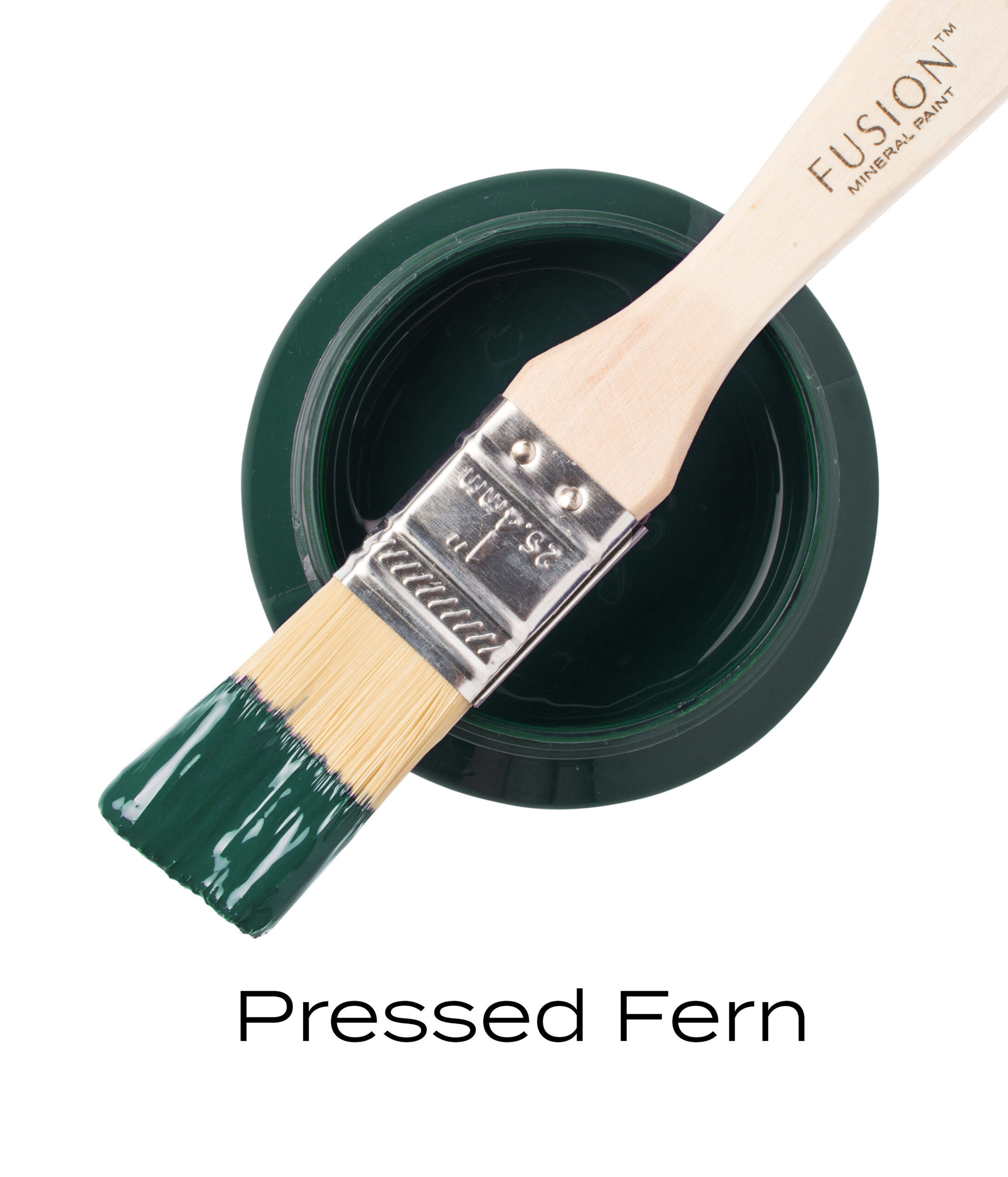 FUSION™ Mineral Paint Pressed Fern 500 ml - Image 2