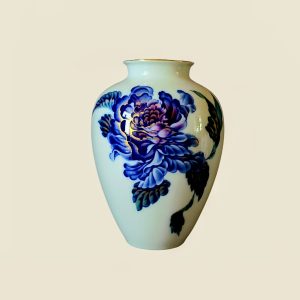 Vaas - H&C Selb Bavaria